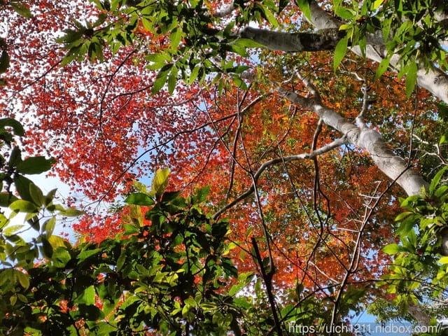 里龍山與浸水營古道 - 第91張圖 里龍山與浸水營古道