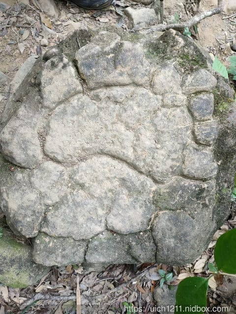 里龍山與浸水營古道 - 第69張圖 里龍山與浸水營古道