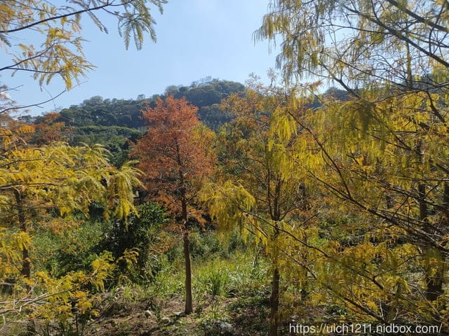 台中六座小百岳