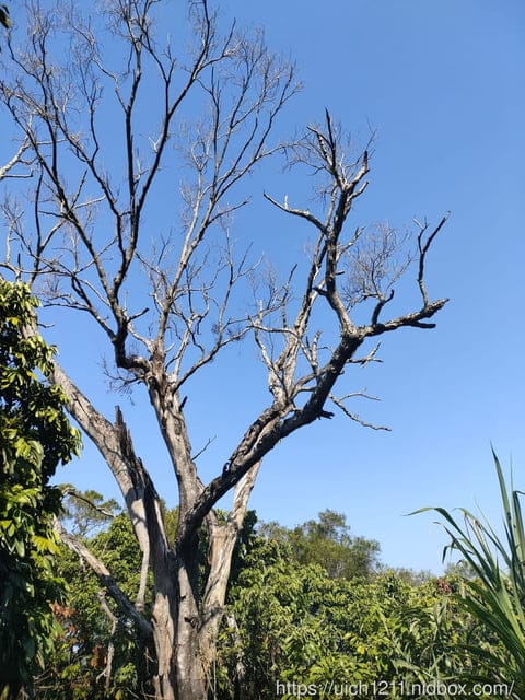 台中六座小百岳