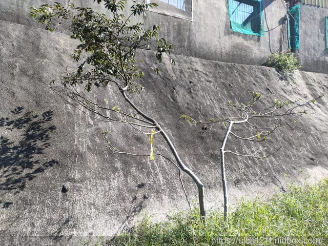 台中六座小百岳