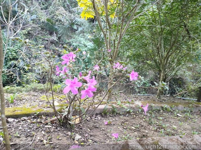 台中六座小百岳