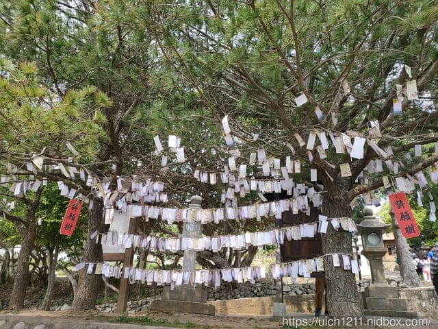 通宵神社 - 第31張圖 通宵神社