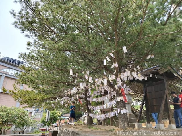 通宵神社 - 第12張圖 通宵神社