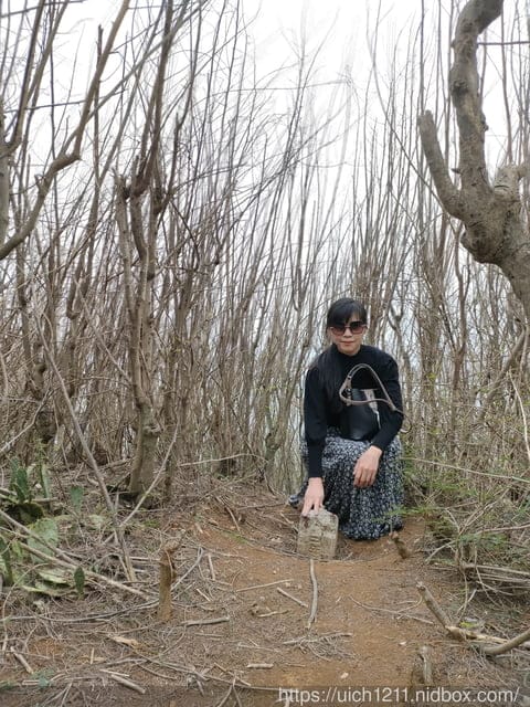 蛇頭山小百岳