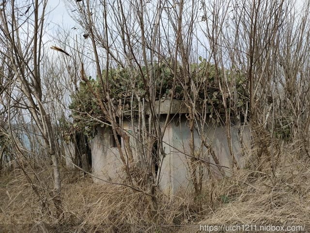 蛇頭山小百岳
