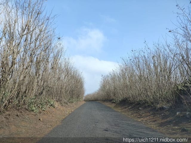 蛇頭山小百岳
