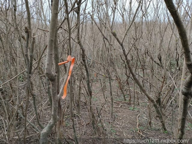 蛇頭山小百岳