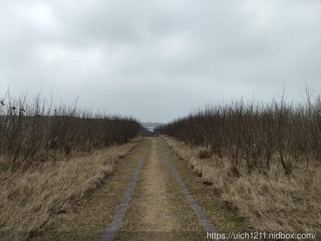 蛇頭山小百岳