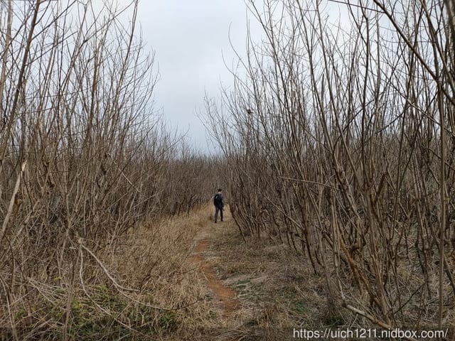蛇頭山小百岳