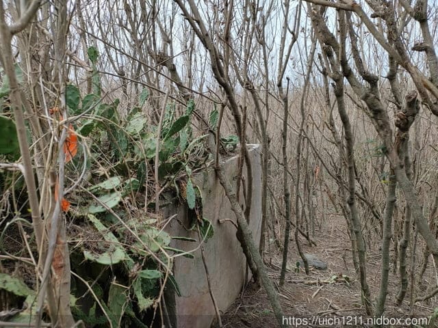 蛇頭山小百岳