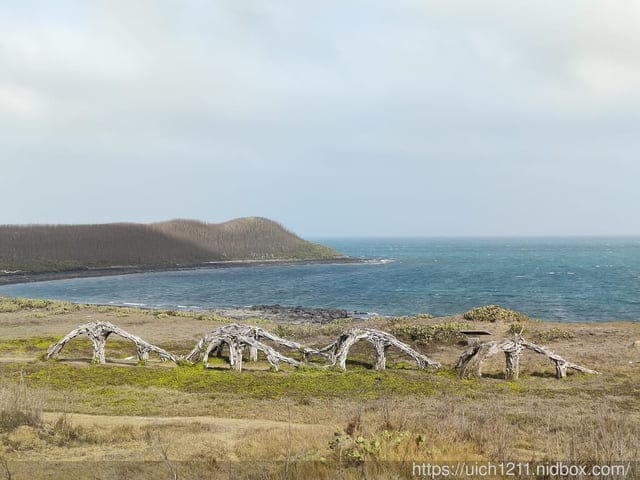 蛇頭山小百岳