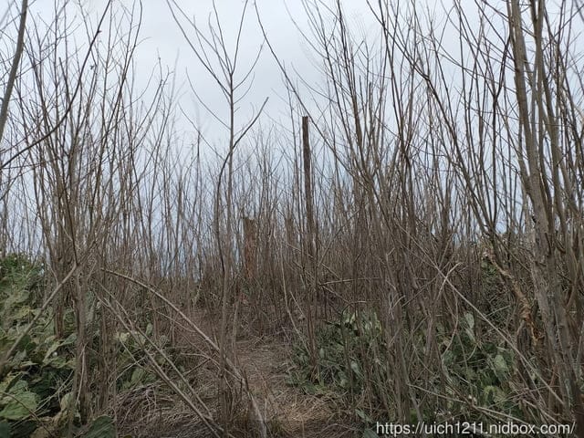 蛇頭山小百岳