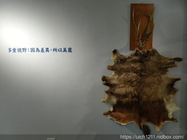 海端布農族文物館與六口溫泉 - 第29張圖 海端布農族文物館與六口溫泉