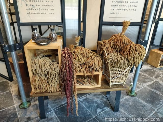 海端布農族文物館與六口溫泉 - 第10張圖 海端布農族文物館與六口溫泉