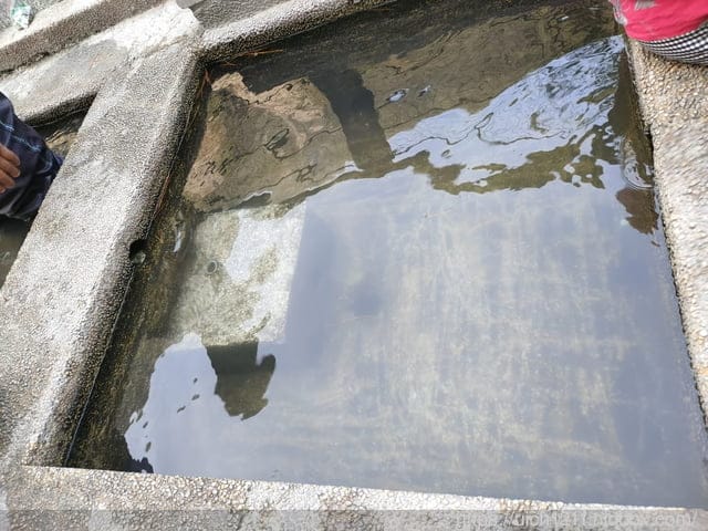 海端布農族文物館與六口溫泉 - 第50張圖 海端布農族文物館與六口溫泉
