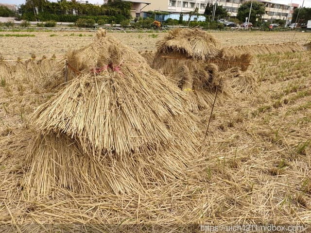 清水眷村文化園區