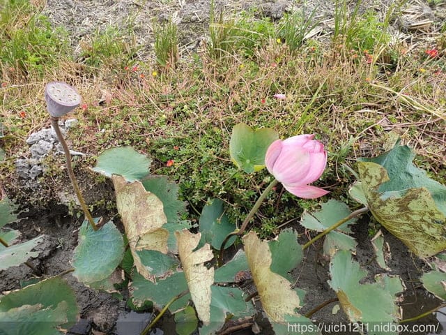 清水眷村文化園區