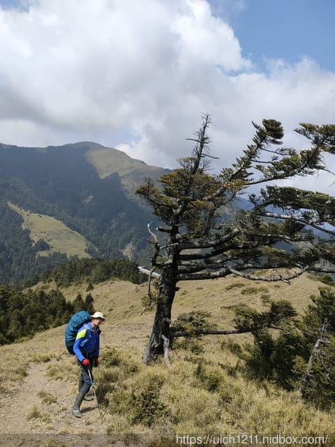 合歡爬山之旅 - 第10張圖 合歡爬山之旅