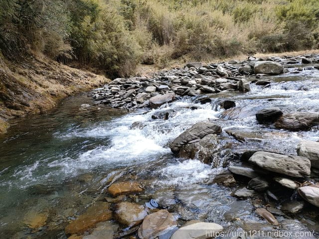 合歡爬山之旅 - 第19張圖 合歡爬山之旅
