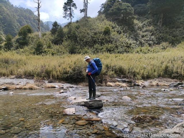 合歡爬山之旅 - 第16張圖 合歡爬山之旅