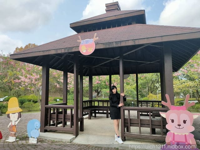 合歡爬山之旅 - 第42張圖 合歡爬山之旅