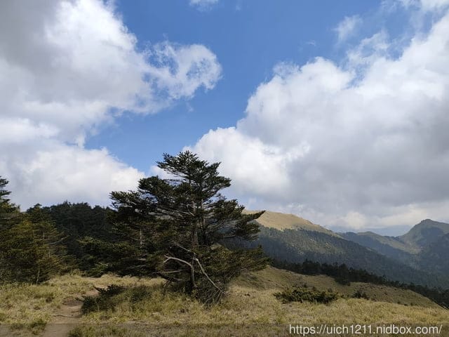 合歡爬山之旅 - 第27張圖 合歡爬山之旅