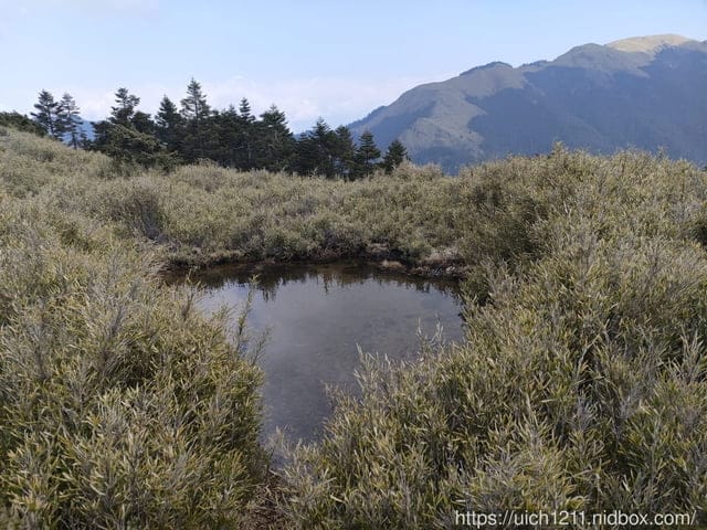 合歡爬山之旅 - 第8張圖 合歡爬山之旅