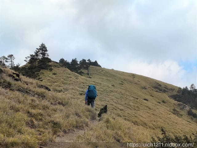 合歡爬山之旅 - 第25張圖 合歡爬山之旅