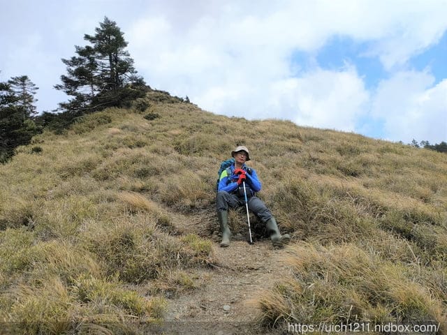 合歡爬山之旅 - 第26張圖 合歡爬山之旅