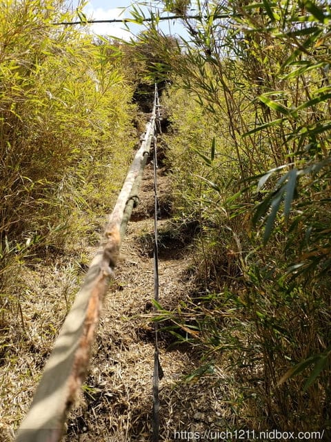 合歡爬山之旅 - 第13張圖 合歡爬山之旅