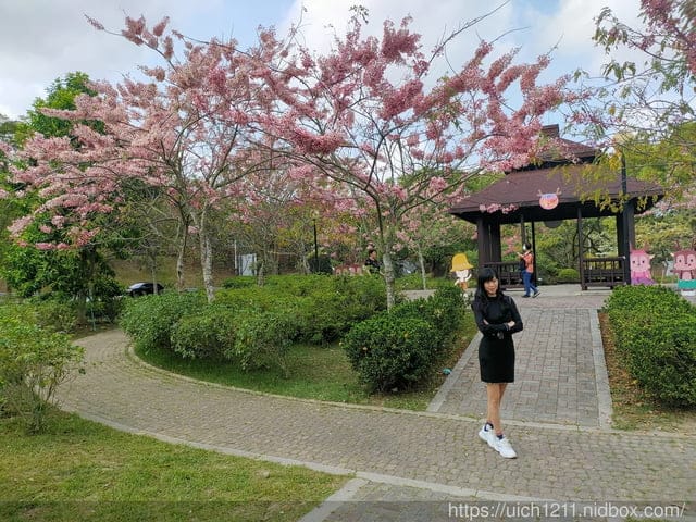 合歡爬山之旅 - 第40張圖 合歡爬山之旅