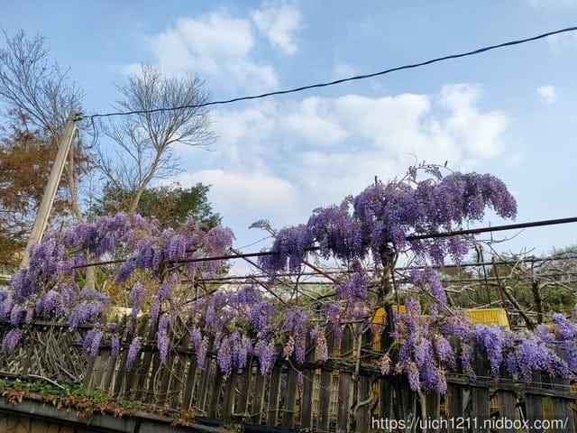 合歡爬山之旅 - 第37張圖 合歡爬山之旅