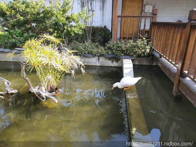 寶來山澤居Villa渡假小木屋