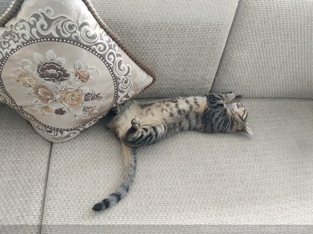 寶來山澤居Villa渡假小木屋