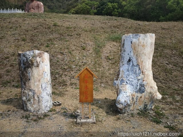 六龜大佛 - 第31張圖 六龜大佛