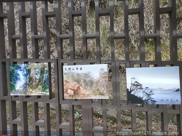 六龜大佛 - 第10張圖 六龜大佛
