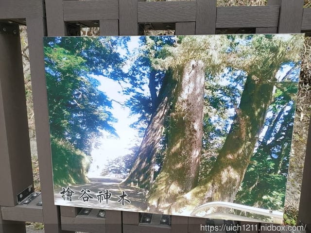 六龜大佛 - 第13張圖 六龜大佛
