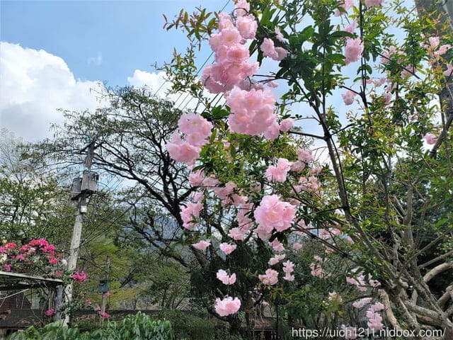 六龜大佛 - 第24張圖 六龜大佛
