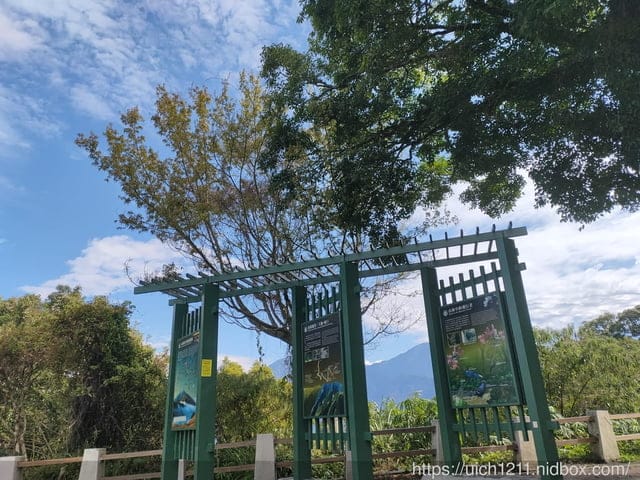 六龜大佛 - 第4張圖 六龜大佛