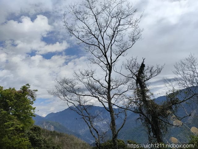 六龜大佛 - 第19張圖 六龜大佛