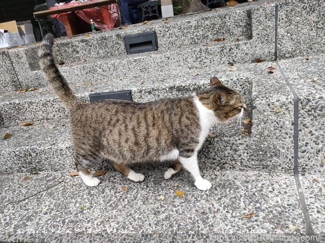 大板根森林溫泉酒店