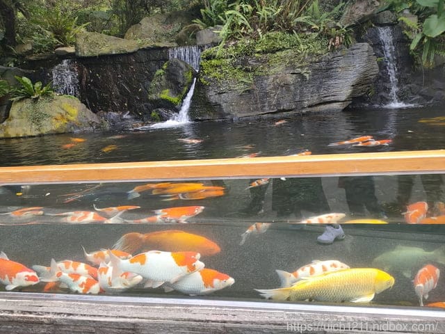 大板根森林溫泉酒店