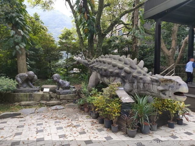 大板根森林溫泉酒店