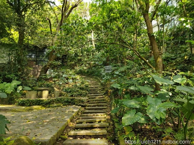 大板根森林溫泉酒店