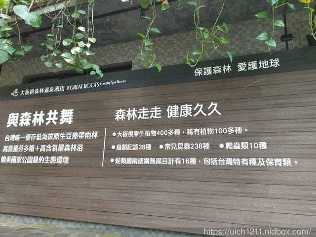 大板根森林溫泉酒店