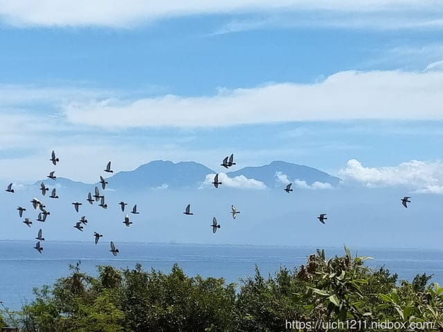 小琉球浪漫之旅 - 第15張圖 小琉球浪漫之旅