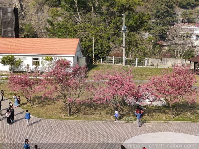 谷關遊記