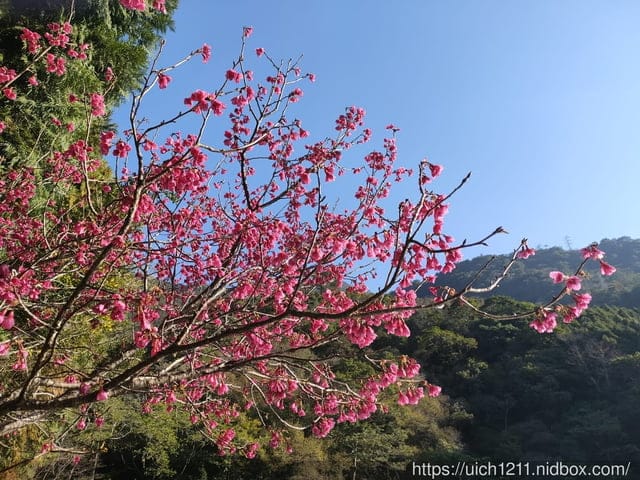 谷關遊記