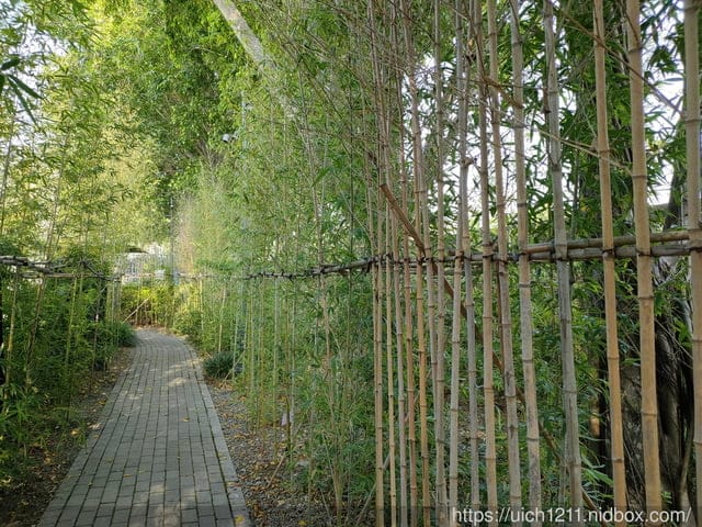 我的婆婆怎麼那麼可愛拍攝地~ - 第26張圖 我的婆婆怎麼那麼可愛拍攝地~